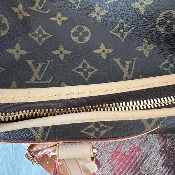 Louis Vuitton Dog Carrier - Picture 12 of 14